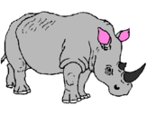 Disegno Rinoceronte  pitturato su g