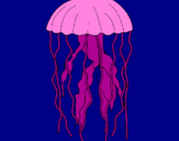 Disegno Medusa  pitturato su cecilia