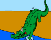 Disegno Alligatore che entra nell'acqua  pitturato su ALICE