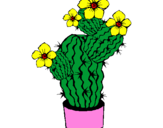 Disegno Fiori di cactus  pitturato su elena