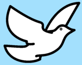 Disegno Colomba della pace  pitturato su VANY