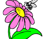 Disegno Margherita con ape  pitturato su flores