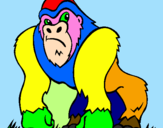 Disegno Gorilla pitturato su chiara c.