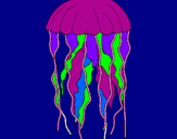 Disegno Medusa  pitturato su giugiu