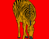 Disegno Zebra  pitturato su seya