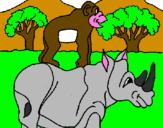 Disegno Rinoceronte e scimmietta  pitturato su la scimmia è soprra rinoc