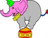Disegno Elefante sulla palla  pitturato su clacla