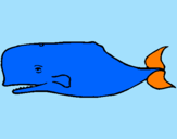 Disegno Balena blu pitturato su José Luiz