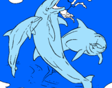 Disegno Delfini che giocano  pitturato su kevin di  cossato