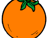 Disegno arance  pitturato su cachi