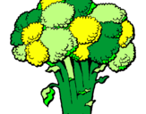 Disegno Broccoli  pitturato su Elisa