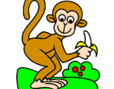 Disegno Scimmietta  pitturato su calogerino