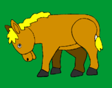 Disegno Pony  pitturato su gaja