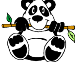 Disegno Orso panda  pitturato su anónimo