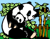 Disegno Mamma panda  pitturato su vale 