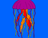 Disegno Medusa  pitturato su antonio