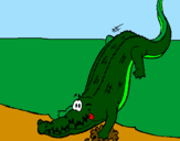 Disegno Alligatore che entra nell'acqua  pitturato su sam