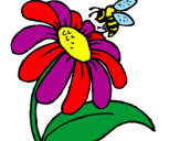 Disegno Margherita con ape  pitturato su lal