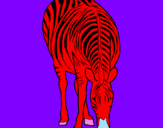 Disegno Zebra  pitturato su titti