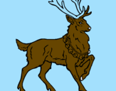 Disegno Cervo pitturato su renna