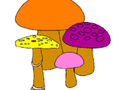 Disegno Funghi pitturato su sana