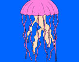 Disegno Medusa  pitturato su Chicca