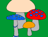 Disegno Funghi pitturato su Xana F.