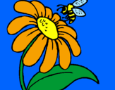 Disegno Margherita con ape  pitturato su gaia
