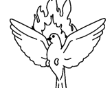 Disegno Colomba della Pentecoste  pitturato su spirito santo 8