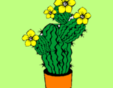 Disegno Fiori di cactus  pitturato su fly