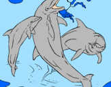 Disegno Delfini che giocano  pitturato su MICHELE
