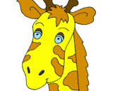 Disegno Muso di giraffa pitturato su annachiara