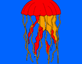 Disegno Medusa  pitturato su lorenzo bellini