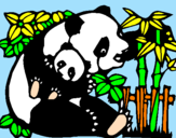 Disegno Mamma panda  pitturato su andrea