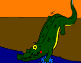 Disegno Alligatore che entra nell'acqua  pitturato su jurassicko