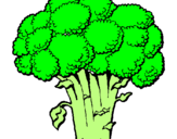Disegno Broccoli  pitturato su maria antonietta