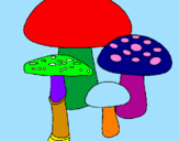 Disegno Funghi pitturato su serena