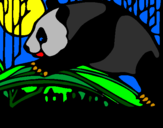 Disegno Oso panda che mangia  pitturato su simone