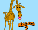 Disegno Madagascar 2 Melman pitturato su WILLIAM