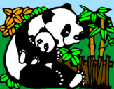 Disegno Mamma panda  pitturato su sofia stentella