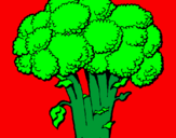 Disegno Broccoli  pitturato su Emanuele