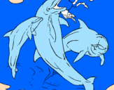 Disegno Delfini che giocano  pitturato su mattia