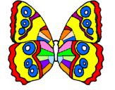 Disegno Farfalla  pitturato su ali 3