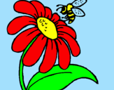 Disegno Margherita con ape  pitturato su Riccardo P.