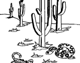 Disegno Deserto  pitturato su deserto