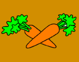 Disegno carote  pitturato su FAPLCVB