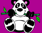 Disegno Orso panda  pitturato su maurizio fuselli