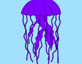 Disegno Medusa  pitturato su chris