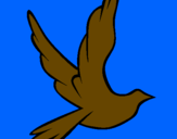 Disegno Colomba della pace in volo pitturato su daniel sami dani