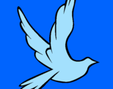 Disegno Colomba della pace in volo pitturato su sara